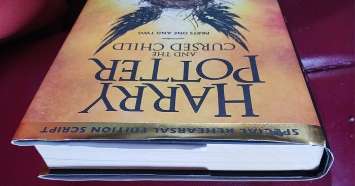 Harry Potter  & The Cursed Child/Special Rehearsal Edition/ 2016