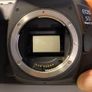 Canon EOS 5D Mark IV - Low Shutter Count:  8,170 Image 8