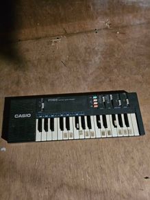 Casio PT100