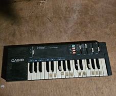 Casio PT100