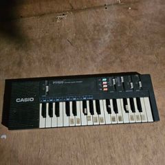 Casio PT100