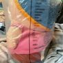1998 "Beefcake Cartman" 12" Plush (see description) Image 3