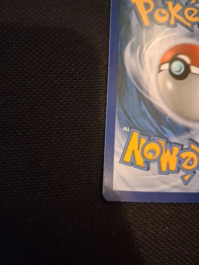 Pokemon Card : Shauna 111a