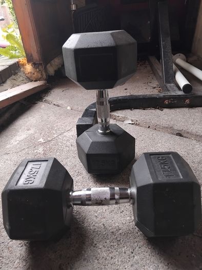 17.5kg dumbbells