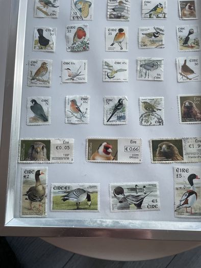 Framed Birds  of Ireland Stamp Collection