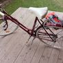 adults bike Image 2