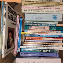Children's / Teenager's Books