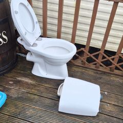 toilet