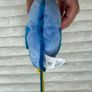 Finding Nemo Dory Plush Disney Store Used Please see pictures Image 7