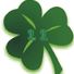 shamrock11