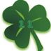 shamrock11