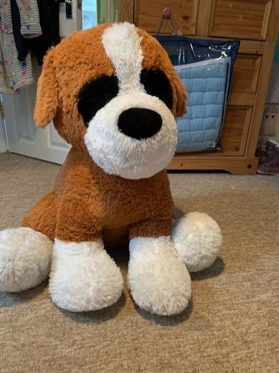 large teddy