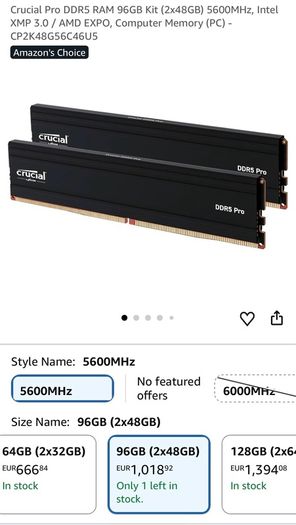 Crucial pro ddr5 ram 96gb (2x48gb)