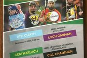 2019 GAA Dublin v Wexford / Carlow v Kilkenny - Leinster Hurling Rd 2 Programme