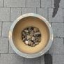 Ceramic Plant Pot Image 3