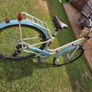 Jupiter Elegance Ladies bike Image 2