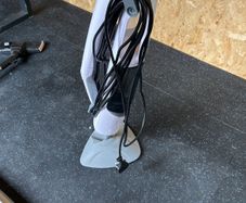 steam mop