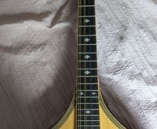 Mandola