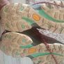 woman shoes Image 2