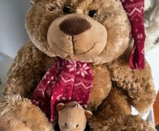 Alfie - super soft teddy bear