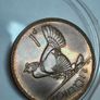 Proof Ireland 1d Penny High grade Image 2