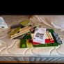 Toy shed Image 2