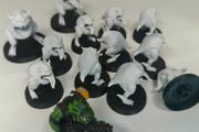 Ork Squiggoth herd