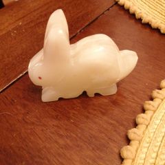 lovely onyx bunny rabbit