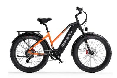 Dukawey DM530 Plus Electric Bike