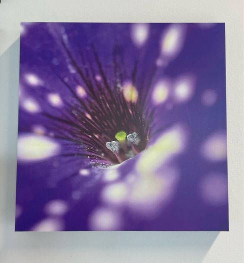 Macro images of Nature on removable foam tiles