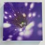 Various original macro nature photos on foam tiles Image 2