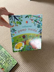 Usborne Peep Inside Books