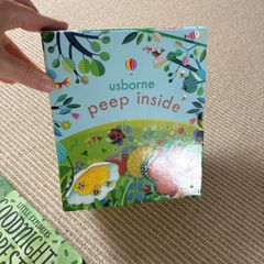 Usborne Peep Inside Books