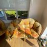 free wicker furniture Image 2