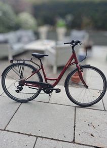 Ridgeback Avenida 6
