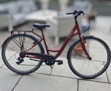 Ridgeback Avenida 6