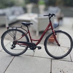Ridgeback Avenida 6