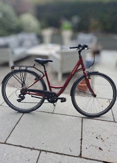 Ridgeback Avenida 6