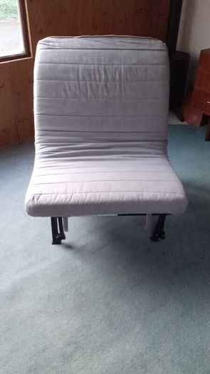 Single Sleeper Couch