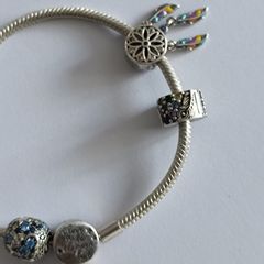 Pandora charm bracelet with assorted charms