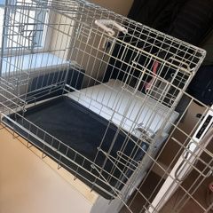 Metal Dog Crate
