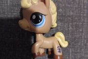 1605 little pet shop horse