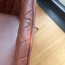 Next leather dining chairs Image 5