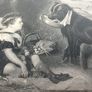 Landseer Dog Fetching Boat for Child Image 3