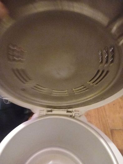 deep fat fryer