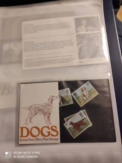 Stamp album UK's Presentation packs x 100