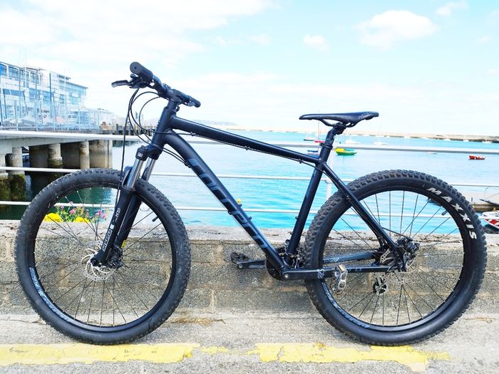 Carrera Mountain Bike