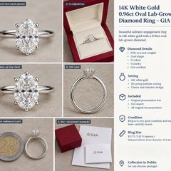 Diamond Ring White Gold Full Documentation