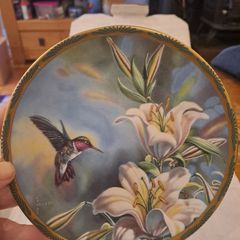 Pickard Collector Plate Hummingbird and Lilies