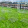 XL Steel Dumper Baskets - Large Quantity Available! Image 3